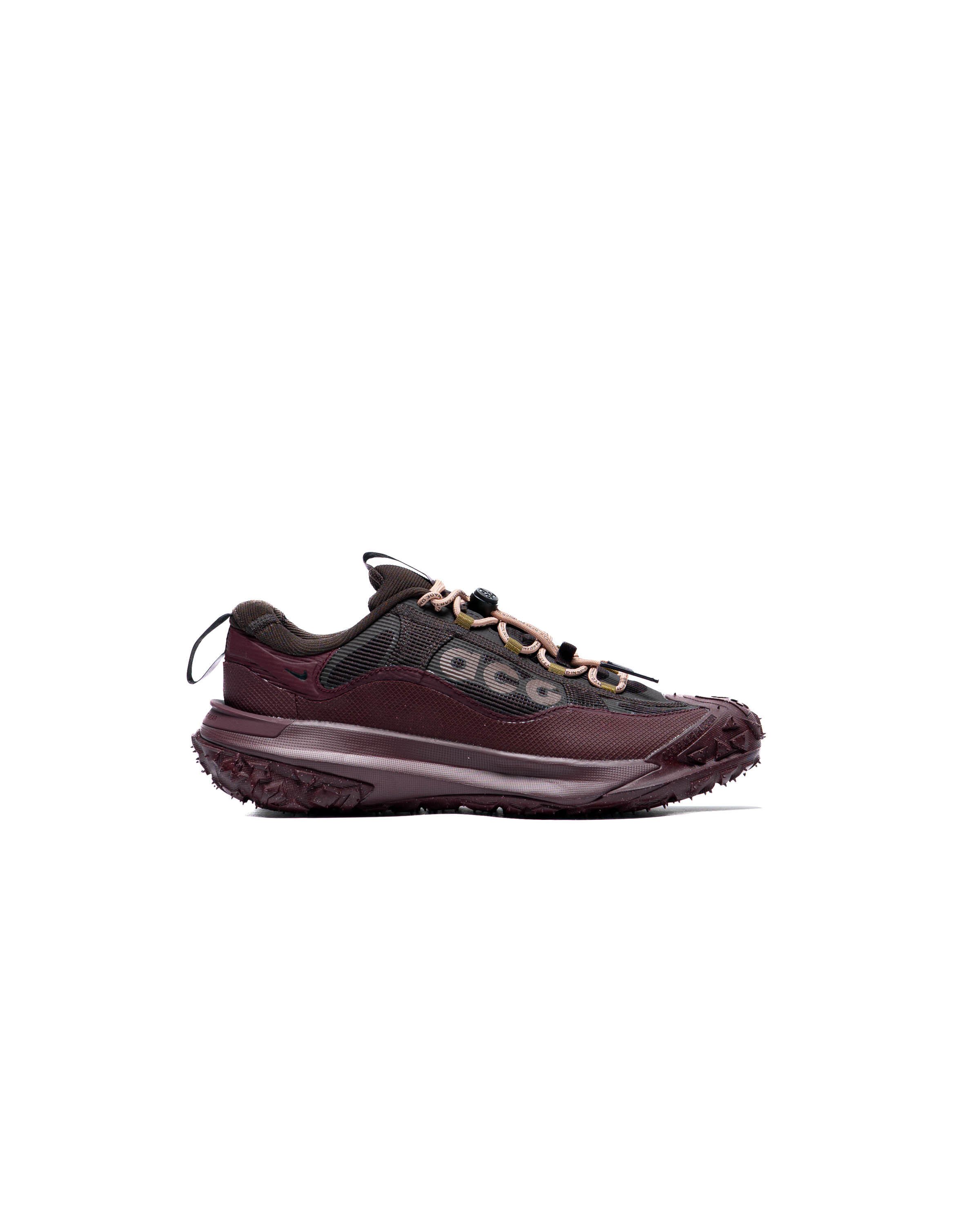 Nike ACG MOUNTAIN FLY 2 LOW Gore-Tex | HF6245-200 | AFEW STORE